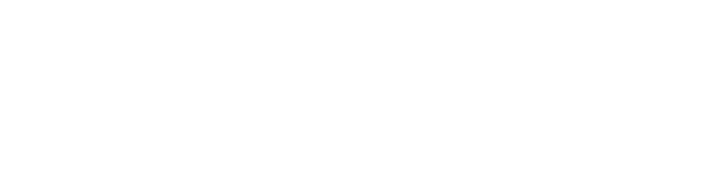 logo fly88